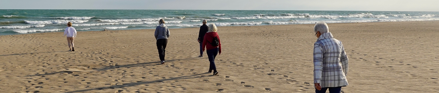Wisdom Walk